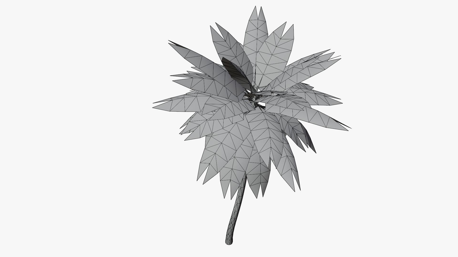 Lowpoly Date Palm v2 Low-poly 3D model_7