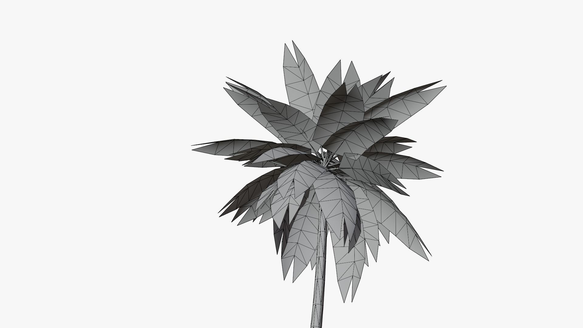 Lowpoly Date Palm v2 Low-poly 3D model_10