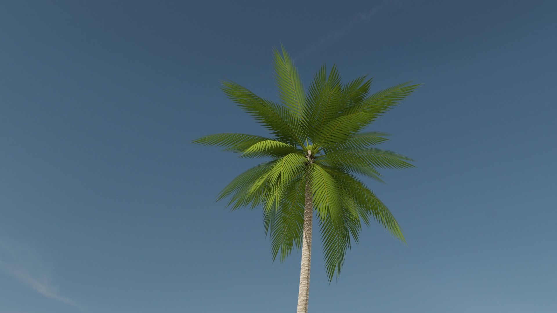 Lowpoly Date Palm v2 Low-poly 3D model_9