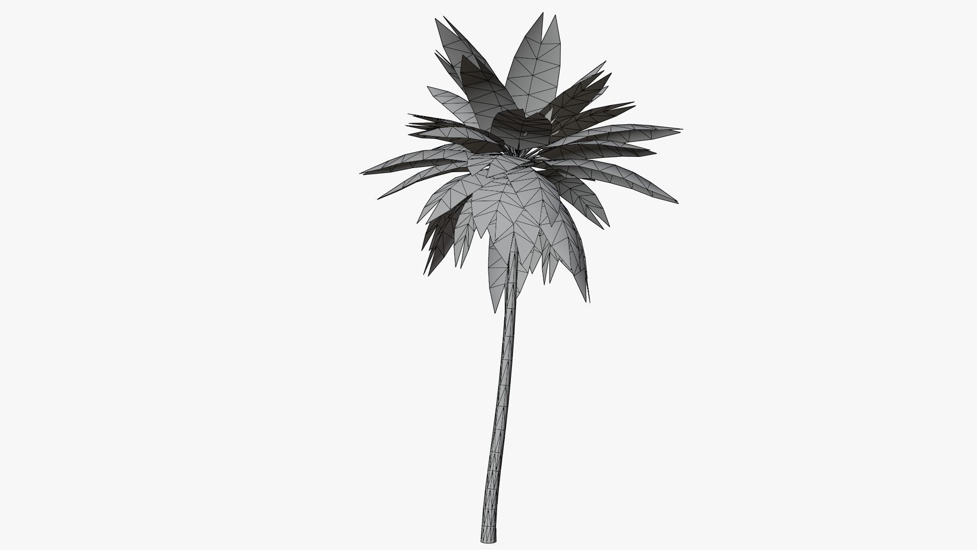 Lowpoly Date Palm v2 Low-poly 3D model_3