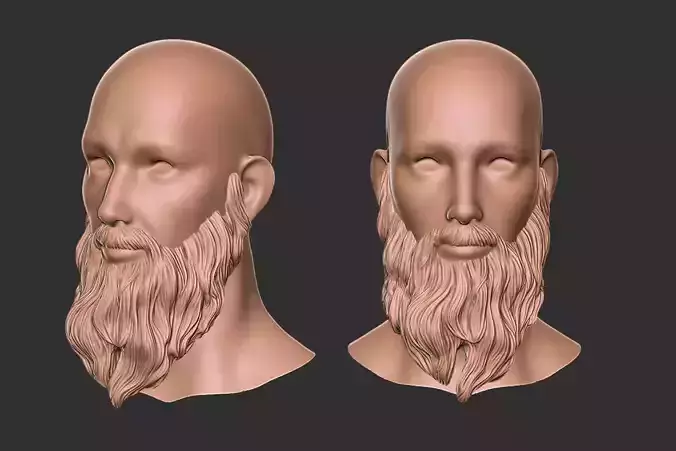 long beard 3D print model