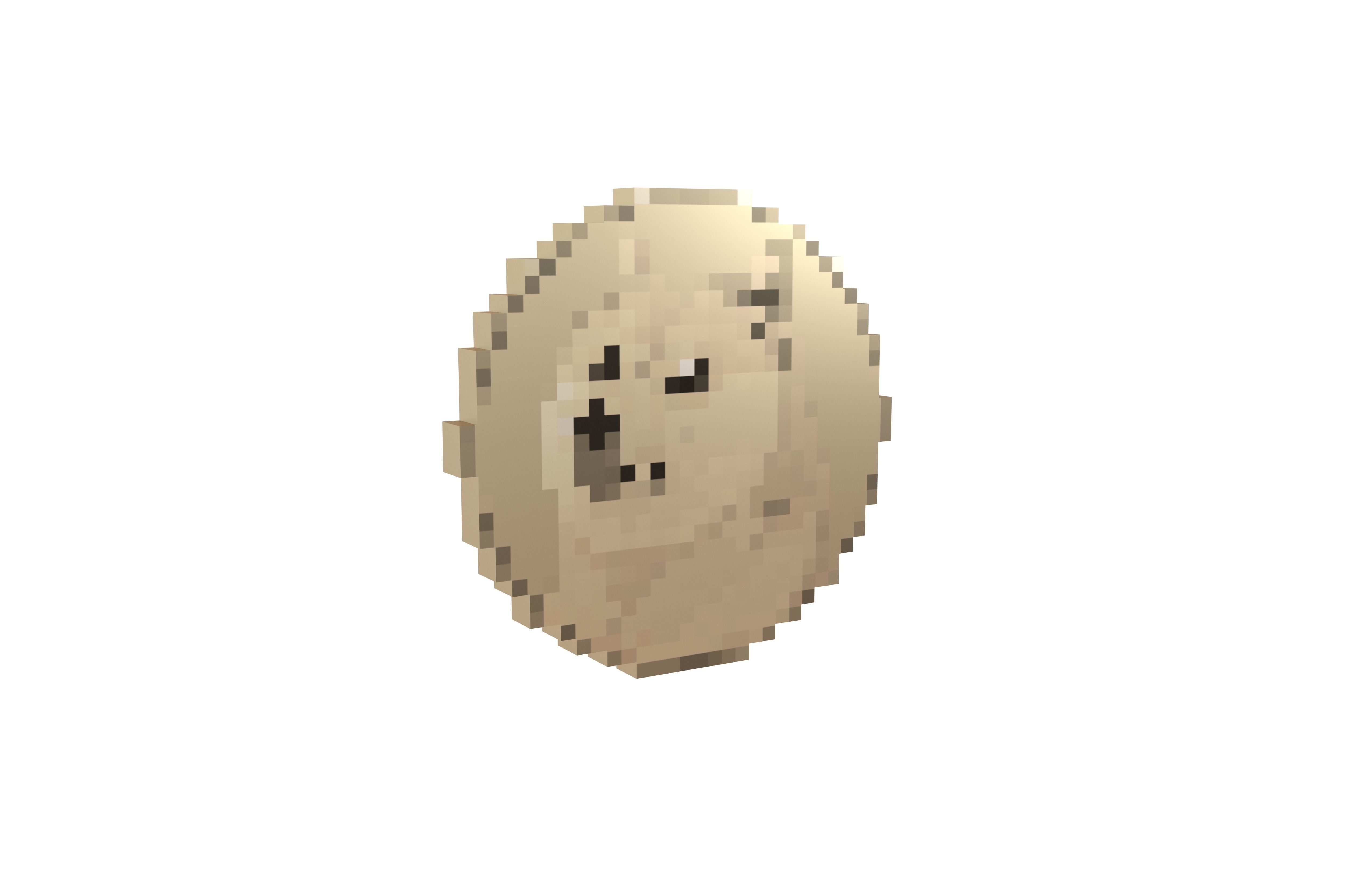 Pixel Dogecoin v1 003 Low-poly 3D model_1