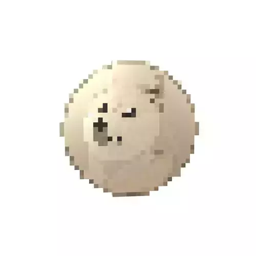 Pixel Dogecoin v1 003