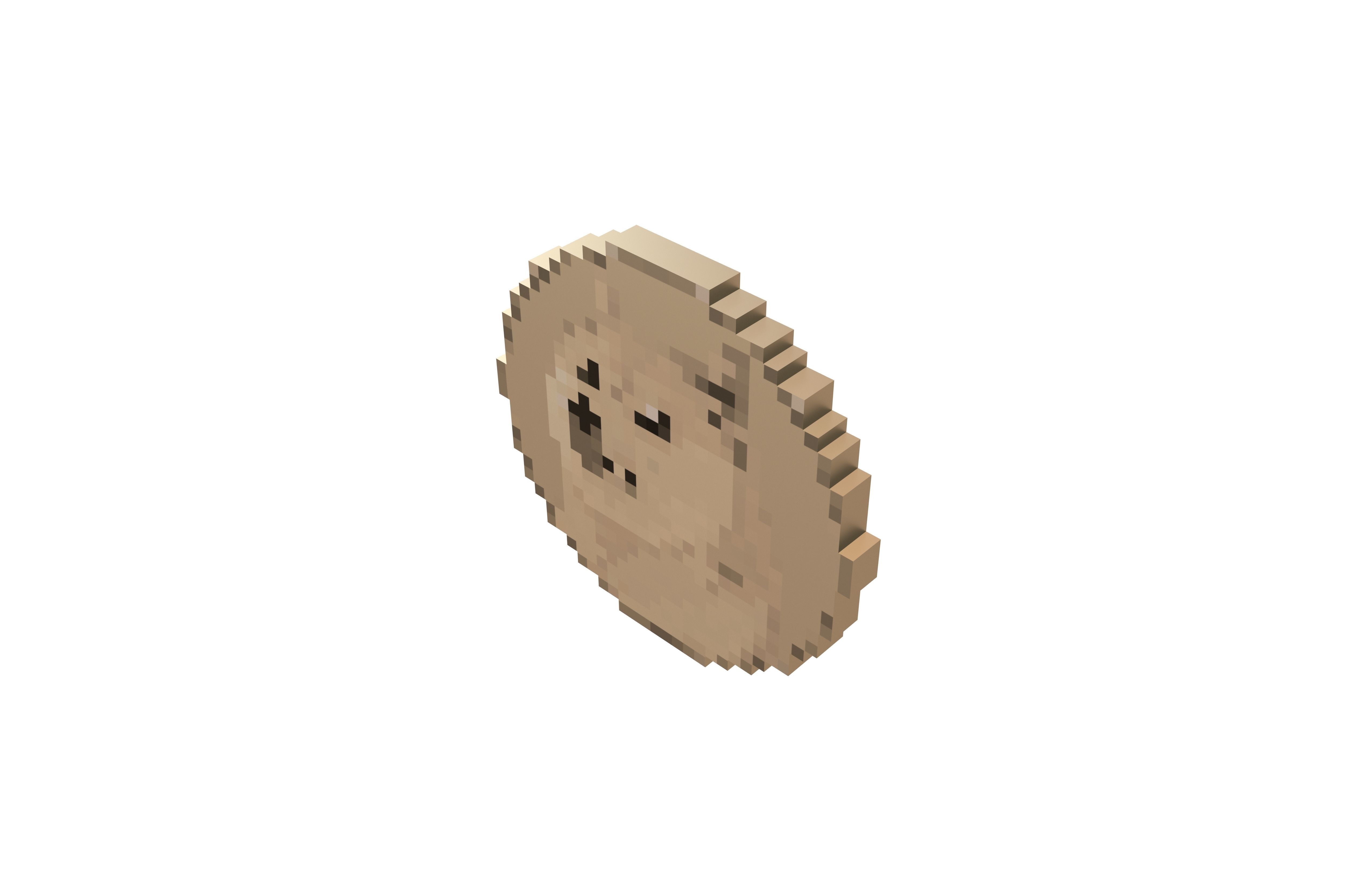 Pixel Dogecoin v1 003 Low-poly 3D model_2