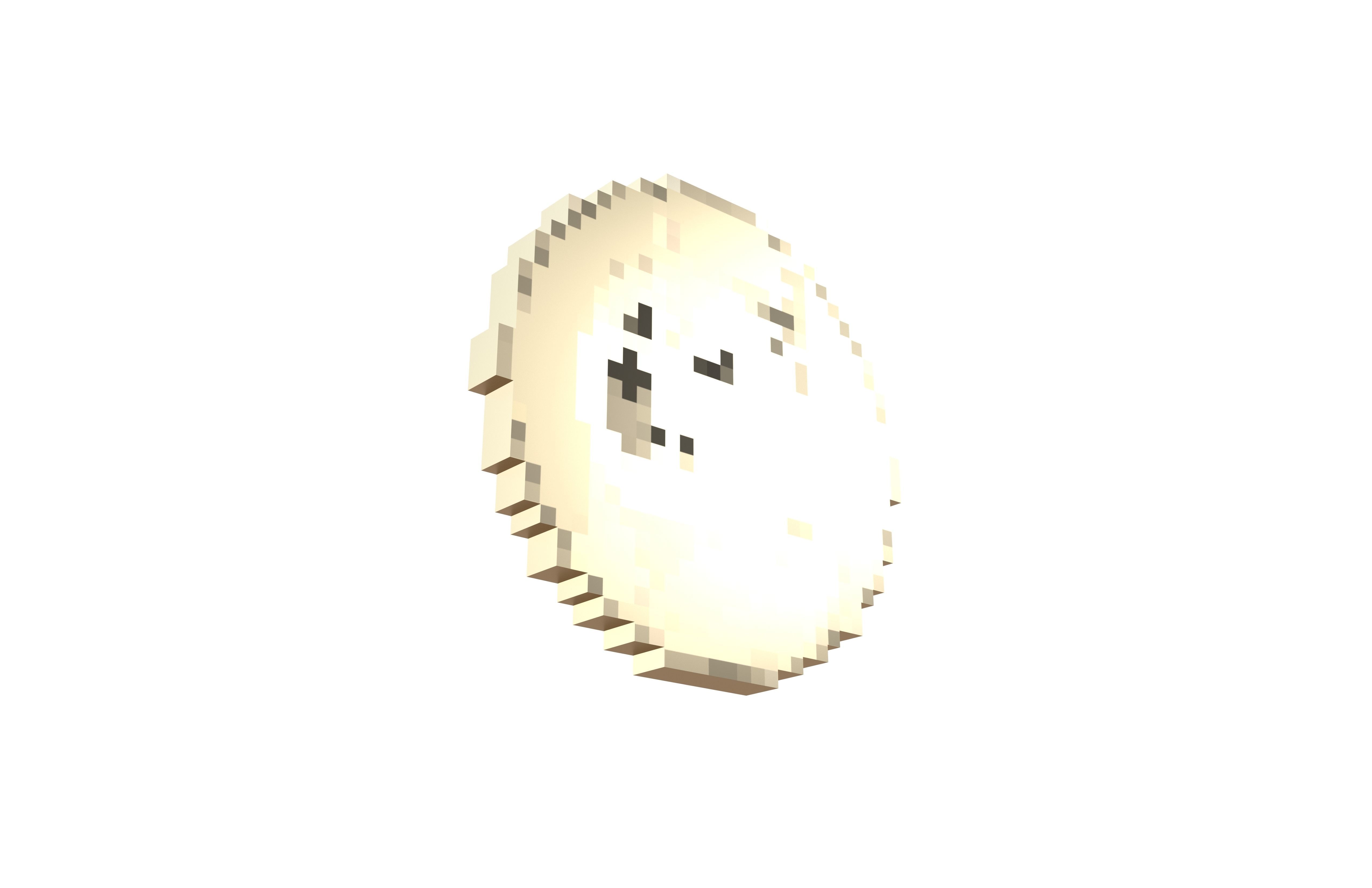 Pixel Dogecoin v1 003 Low-poly 3D model_3