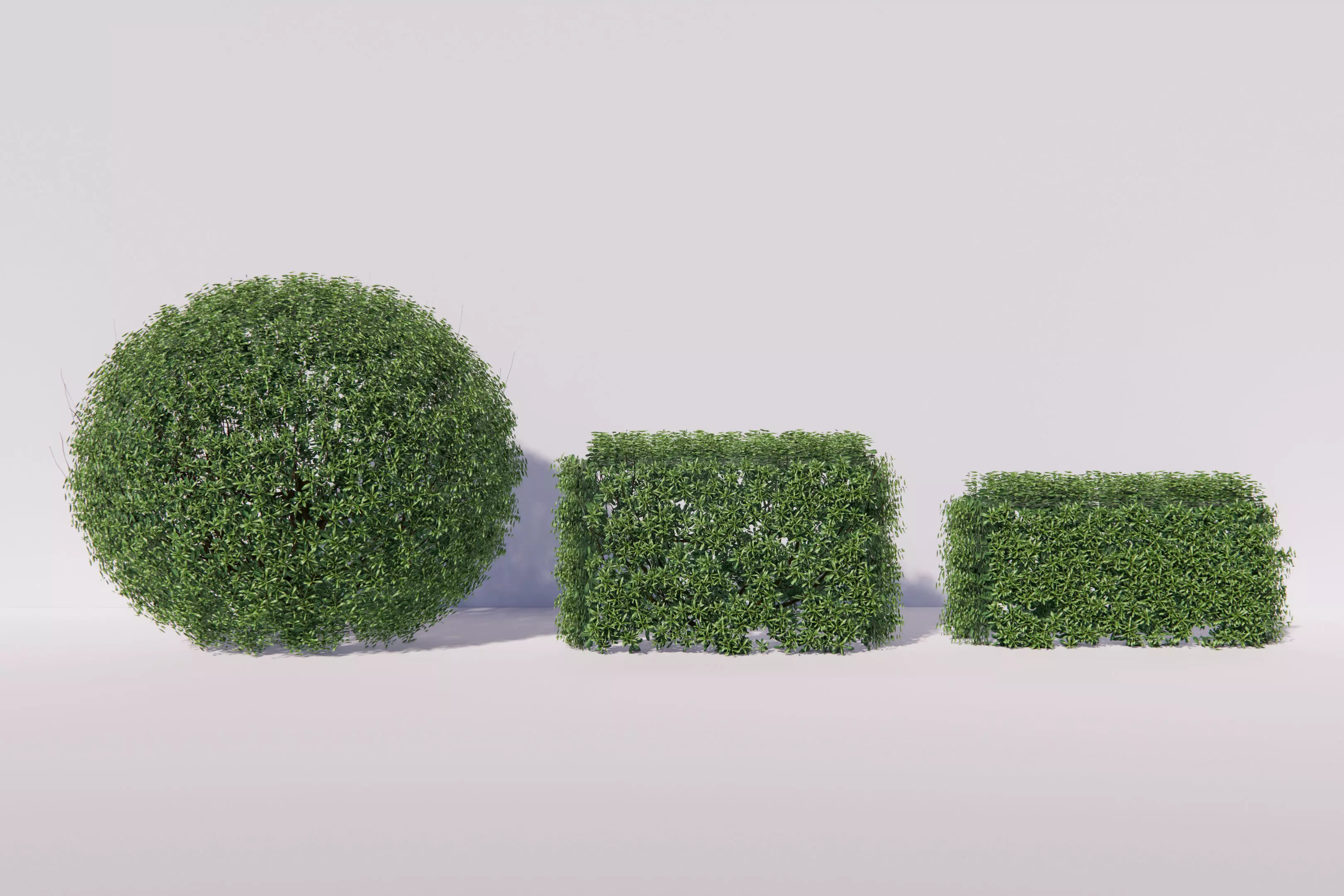 Bushballs hedges 3D model