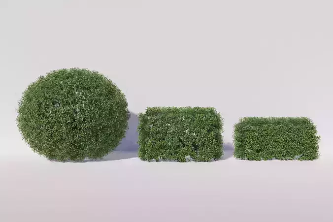 Bushballs hedges 3D model