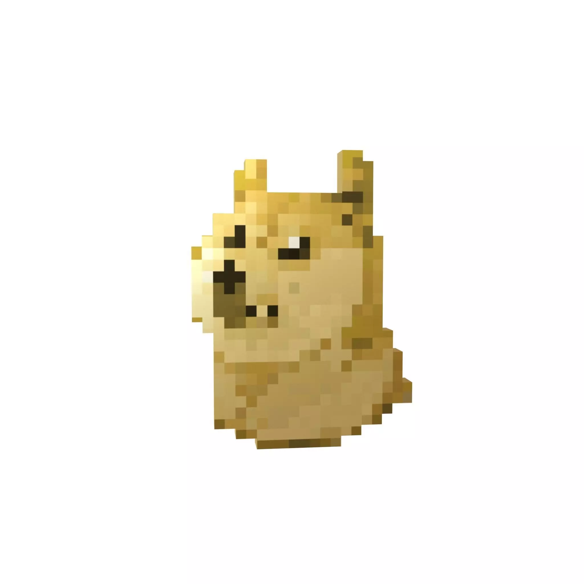 Pixel Dogecoin v2 002 Low-poly 3D model_0