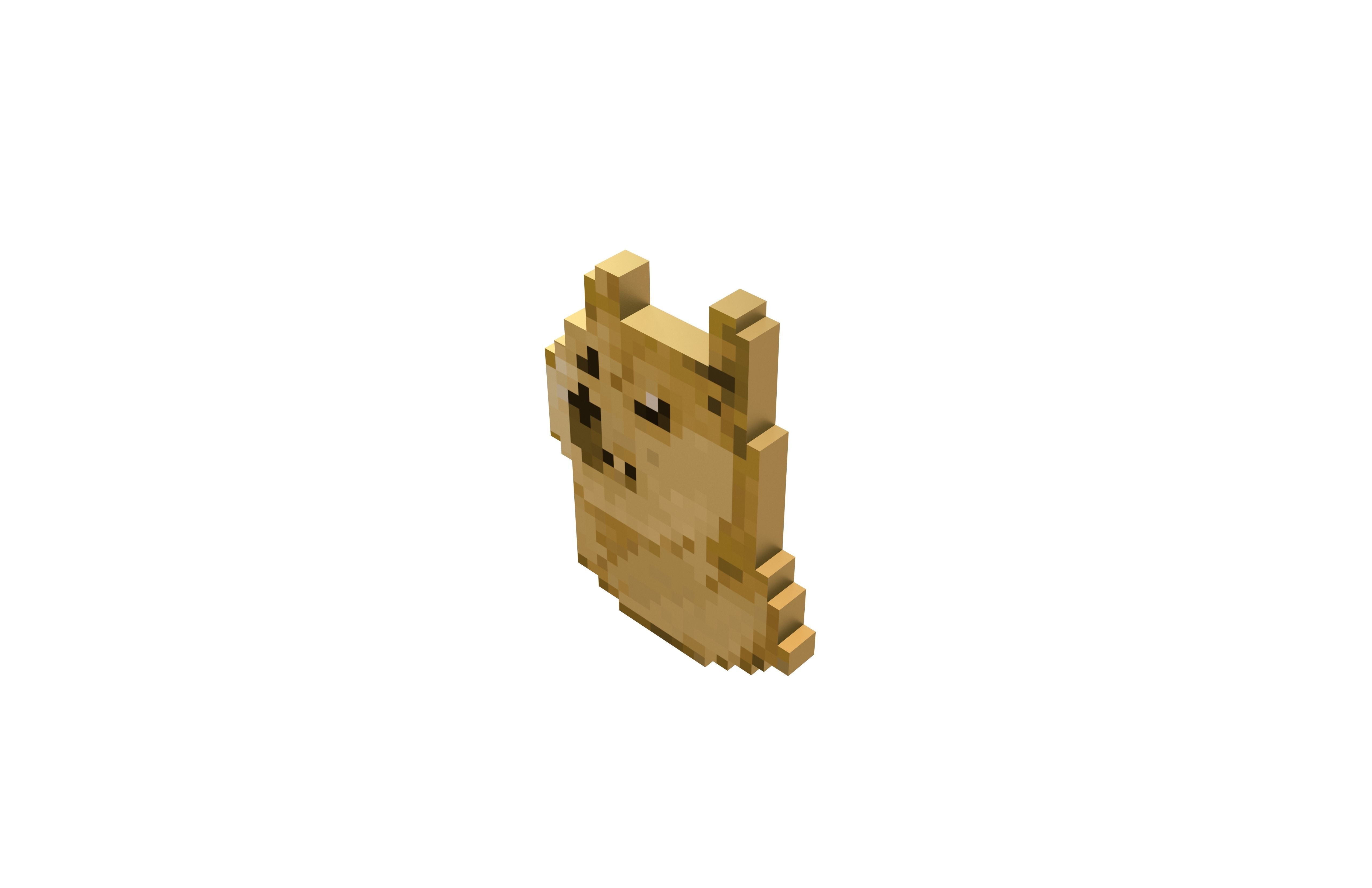 Pixel Dogecoin v2 002 Low-poly 3D model_2