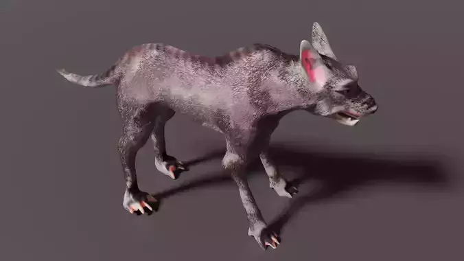 hound wolf 3D model