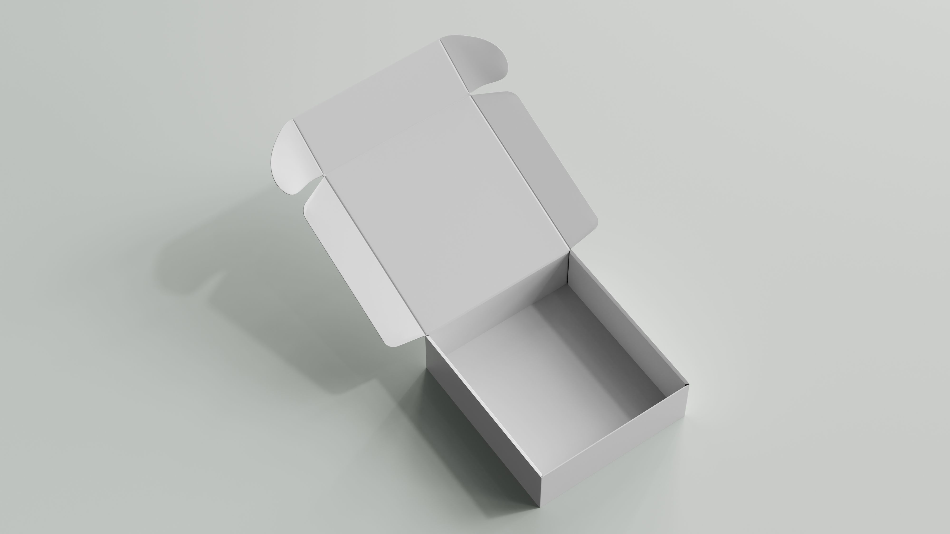 Packaging Box 3D model_1