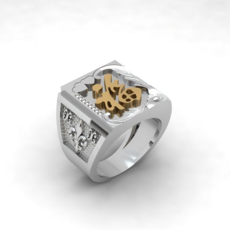 3d-model ring chinese zodiac sign 3D print model_7