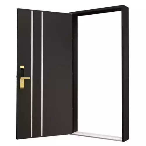 Electronic Lock Door