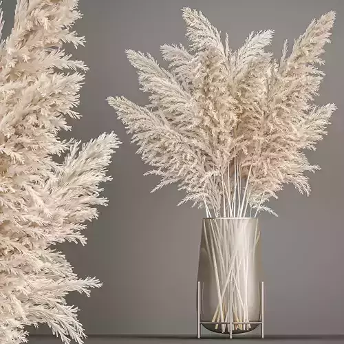 Decorative Bouquet of  white dried pampas grass 203