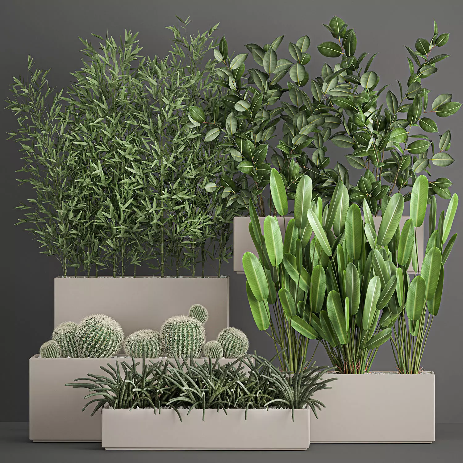 Collection of plants from bushes and thickets for landscape 1063 3D model