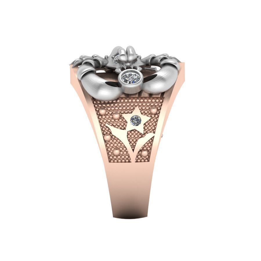 3d-model ring 3D print model_3