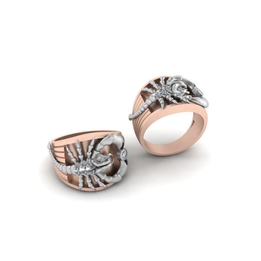 3d-model ring 3D print model_4