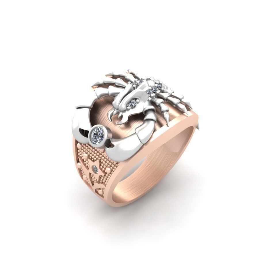 3d-model ring 3D print model_8