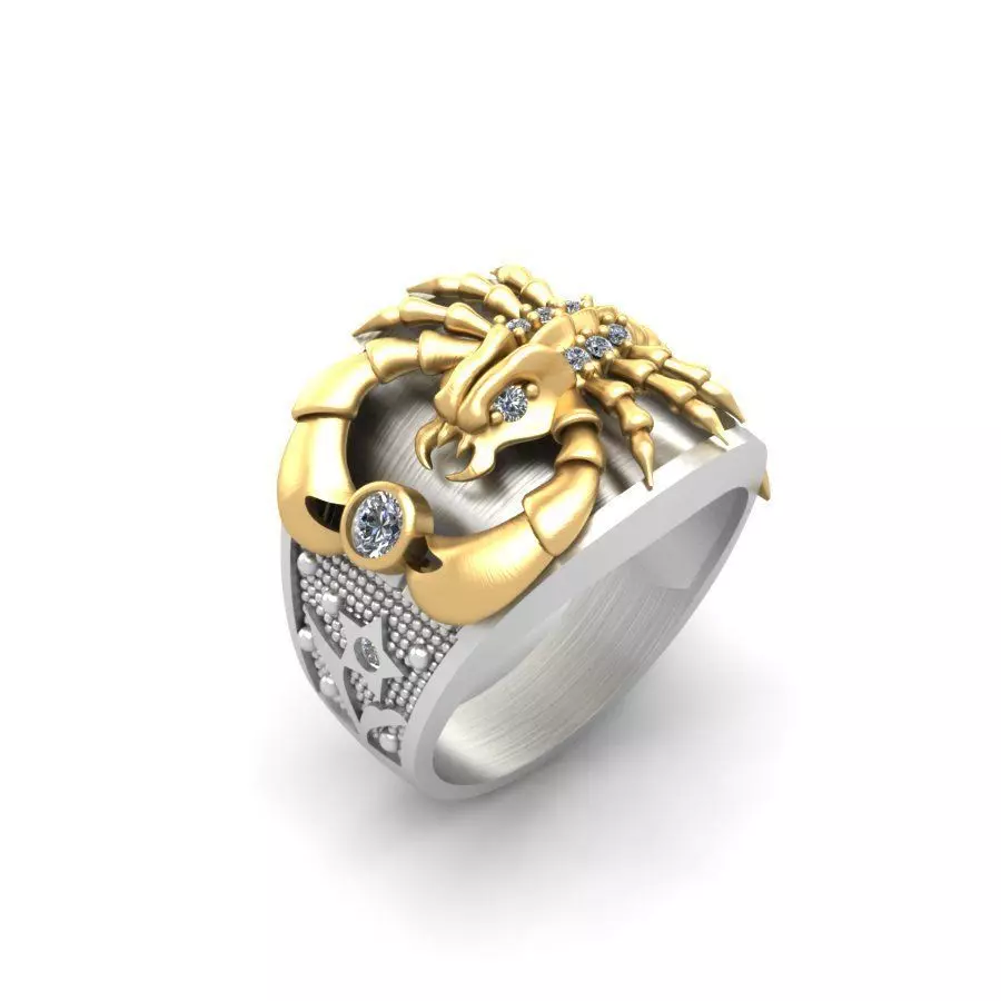 3d-model ring 3D print model_0