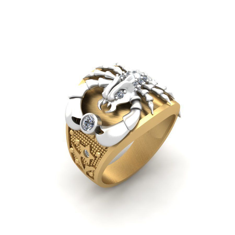 3d-model ring 3D print model_7
