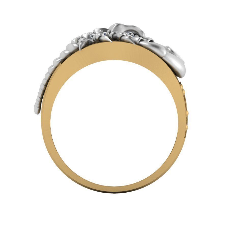 3d-model ring 3D print model_13