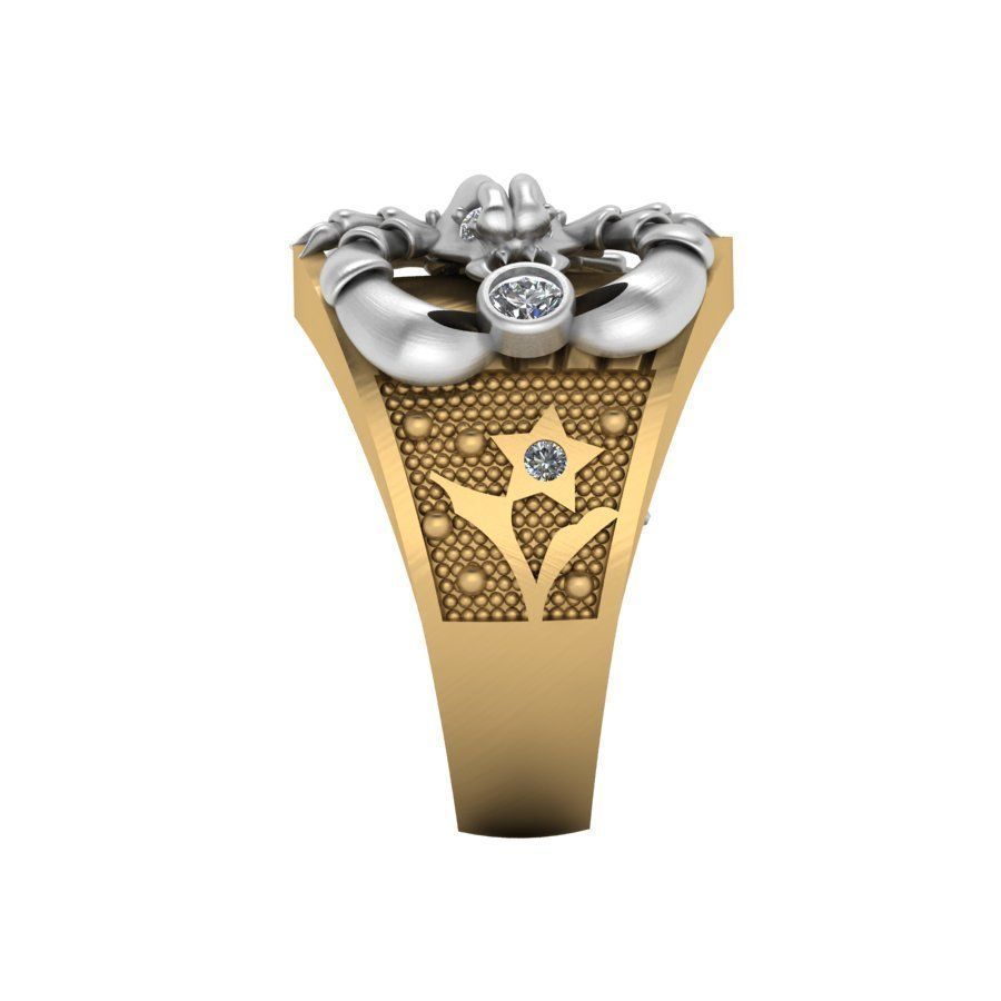 3d-model ring 3D print model_2