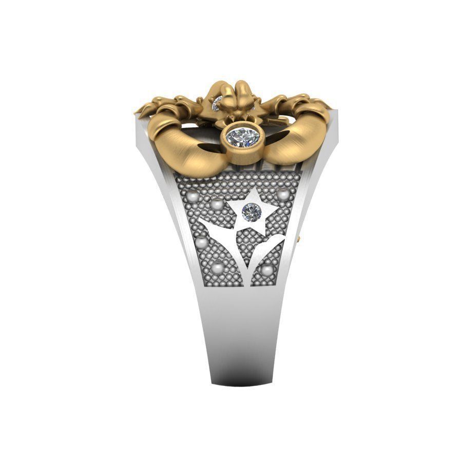 3d-model ring 3D print model_1