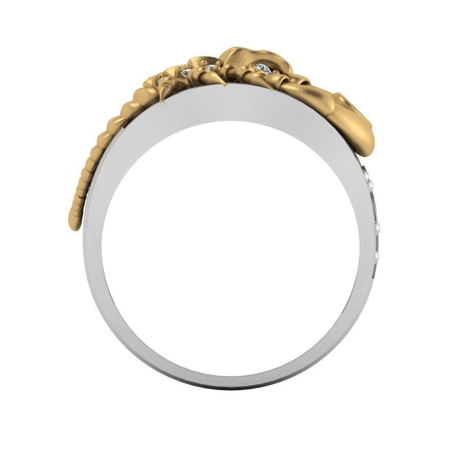 3d-model ring 3D print model_14
