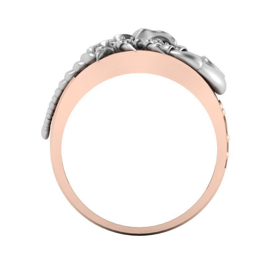 3d-model ring 3D print model_12