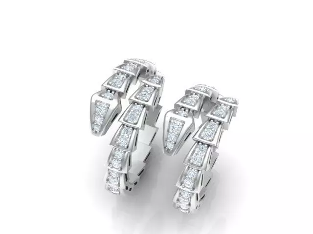 2 ring of snakes 3D print model_0