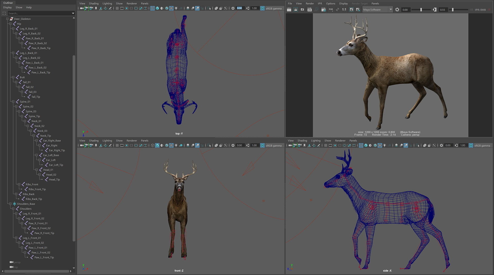 Animated Deer 3D model_19