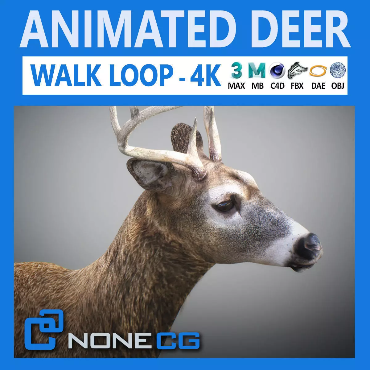 Animated Deer 3D model_0