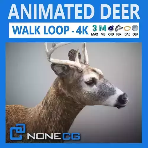 Animated Deer 3D model