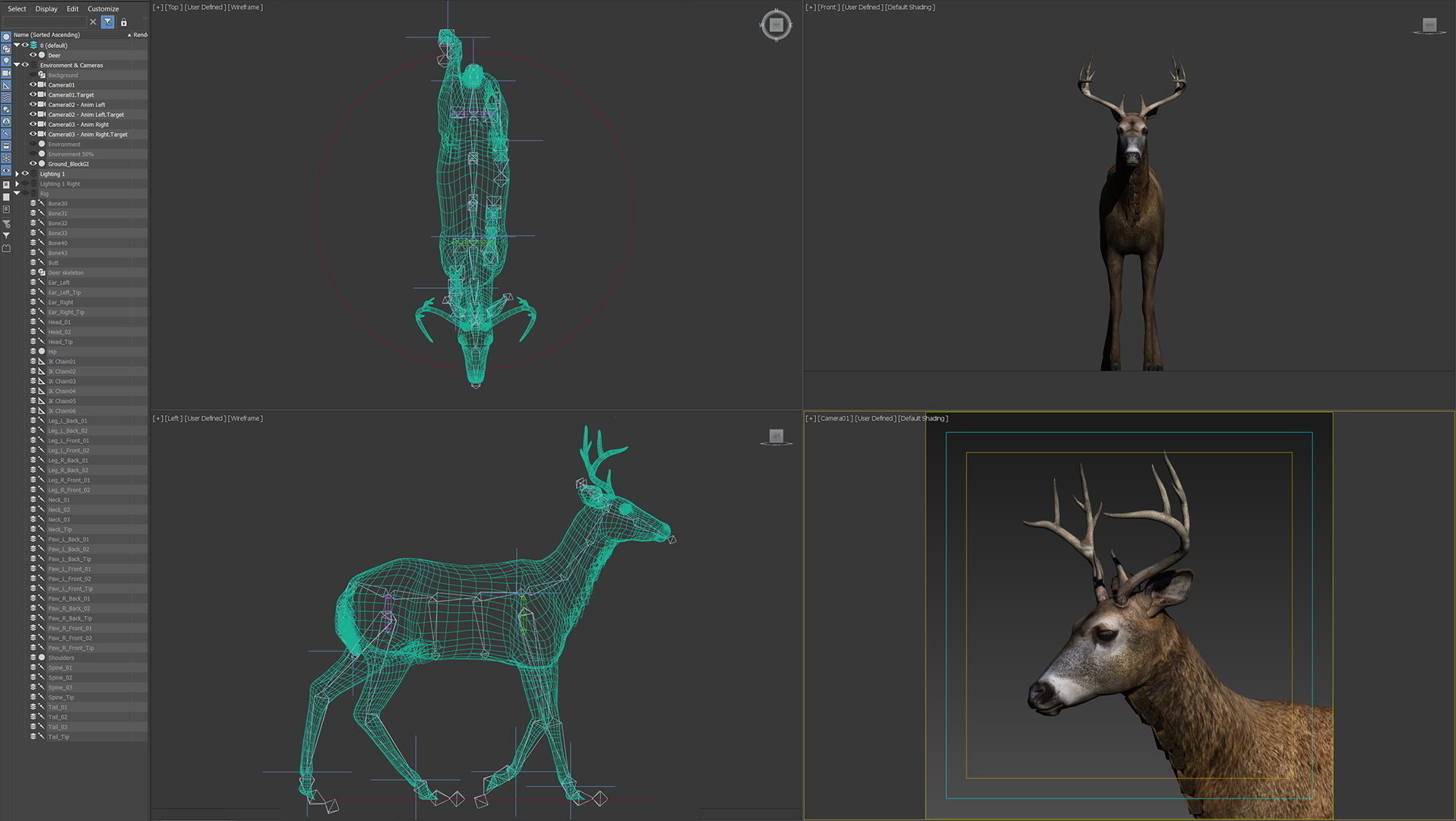 Animated Deer 3D model_18