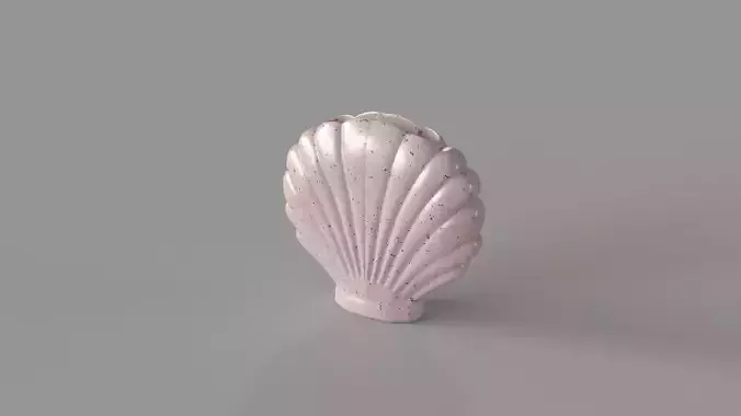 Shell Vase