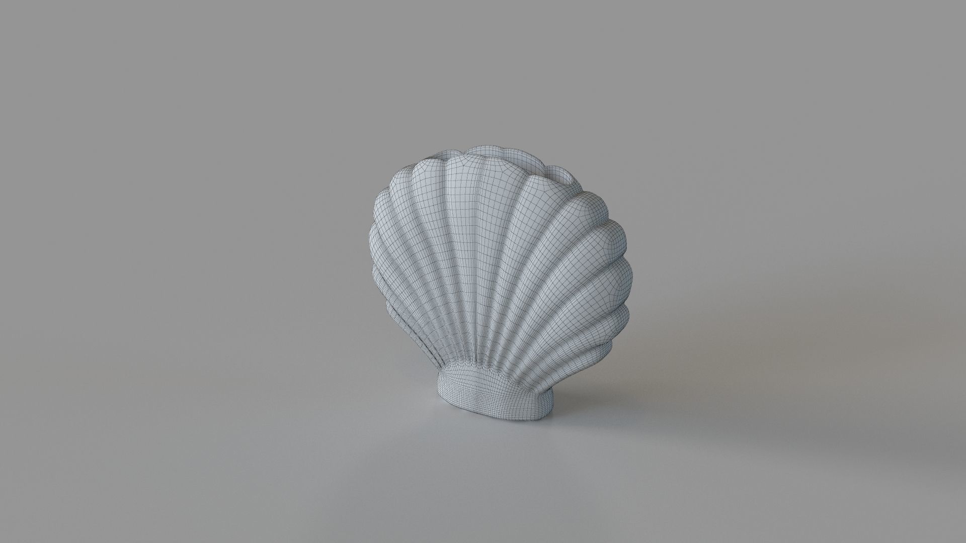 Shell Vase 3D model_1