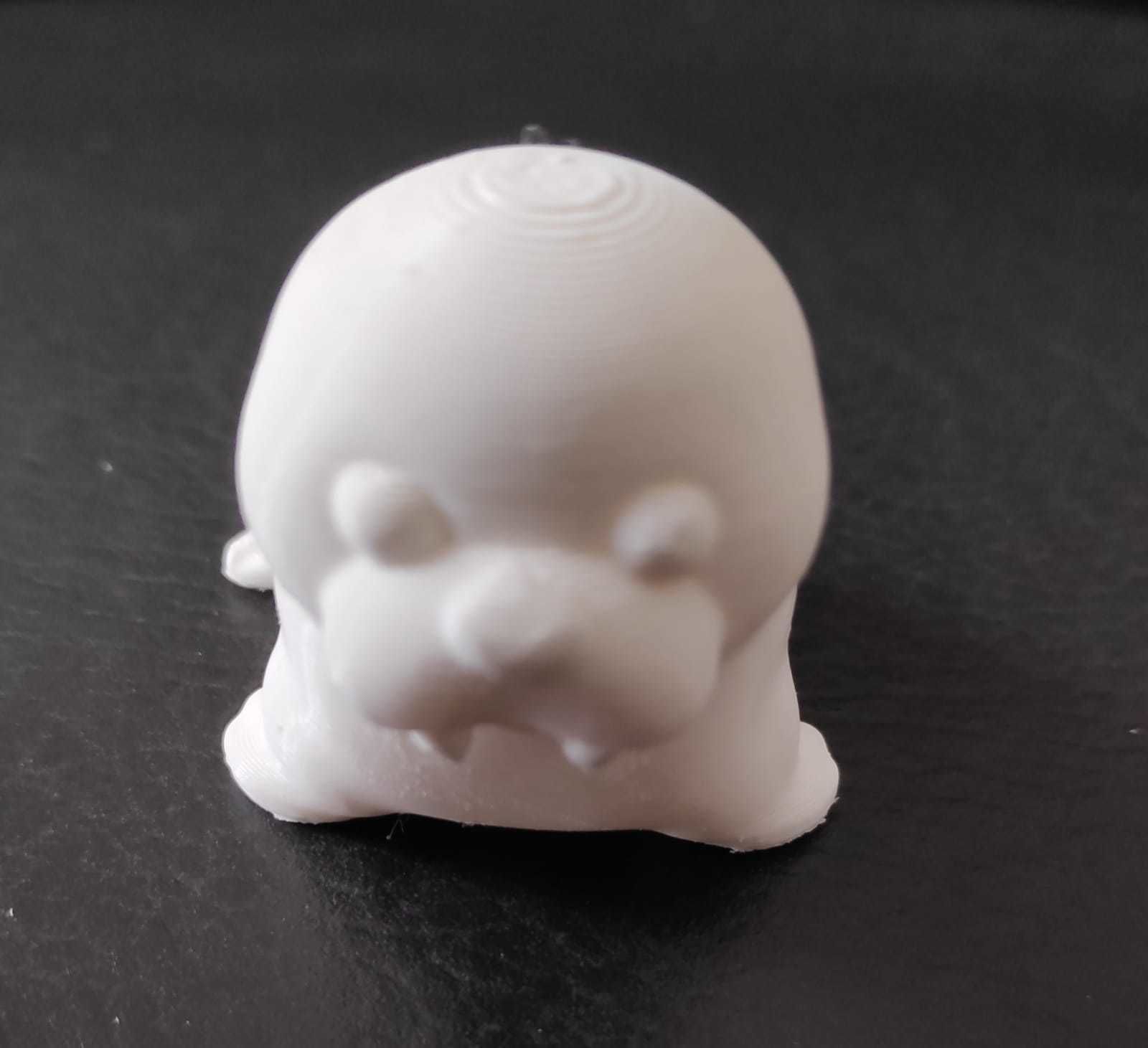 Cute Walrus 3D print model_12