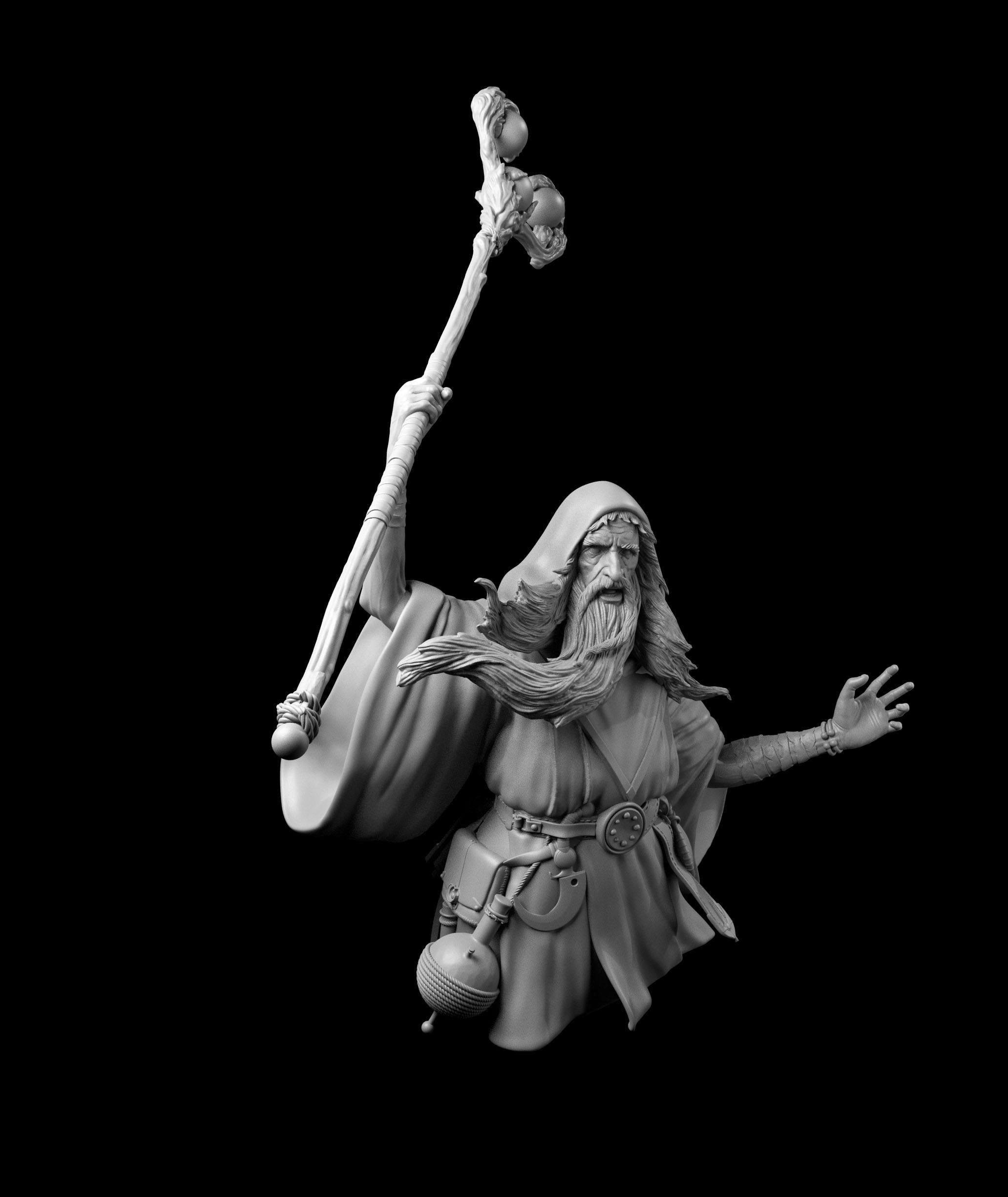 Wizard statue of holding staff Free 3D print model_4