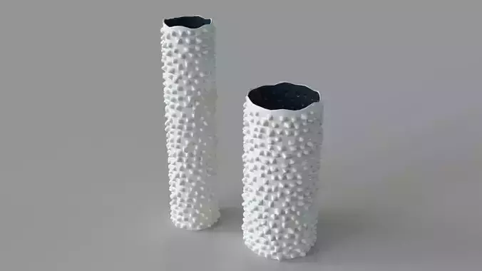 Ciji Vases Set 2 White 3D model