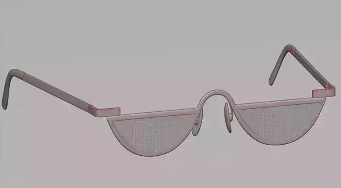 Sunglasses 16