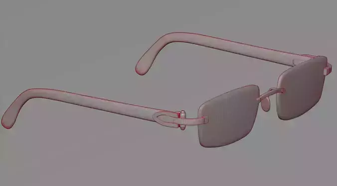 Sunglasses 18