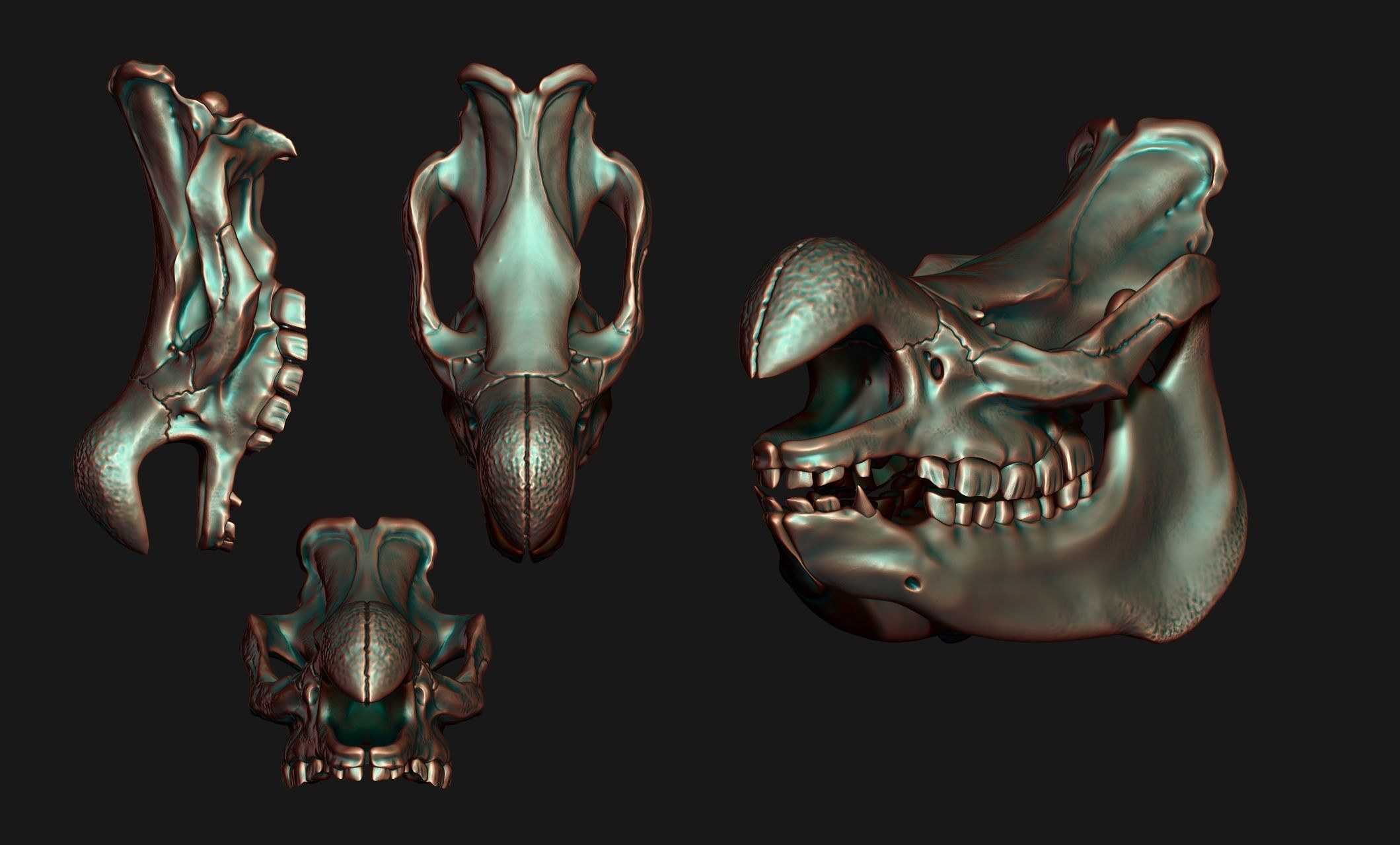 White Rhinoceros Skull - CNC and 3D print model_6