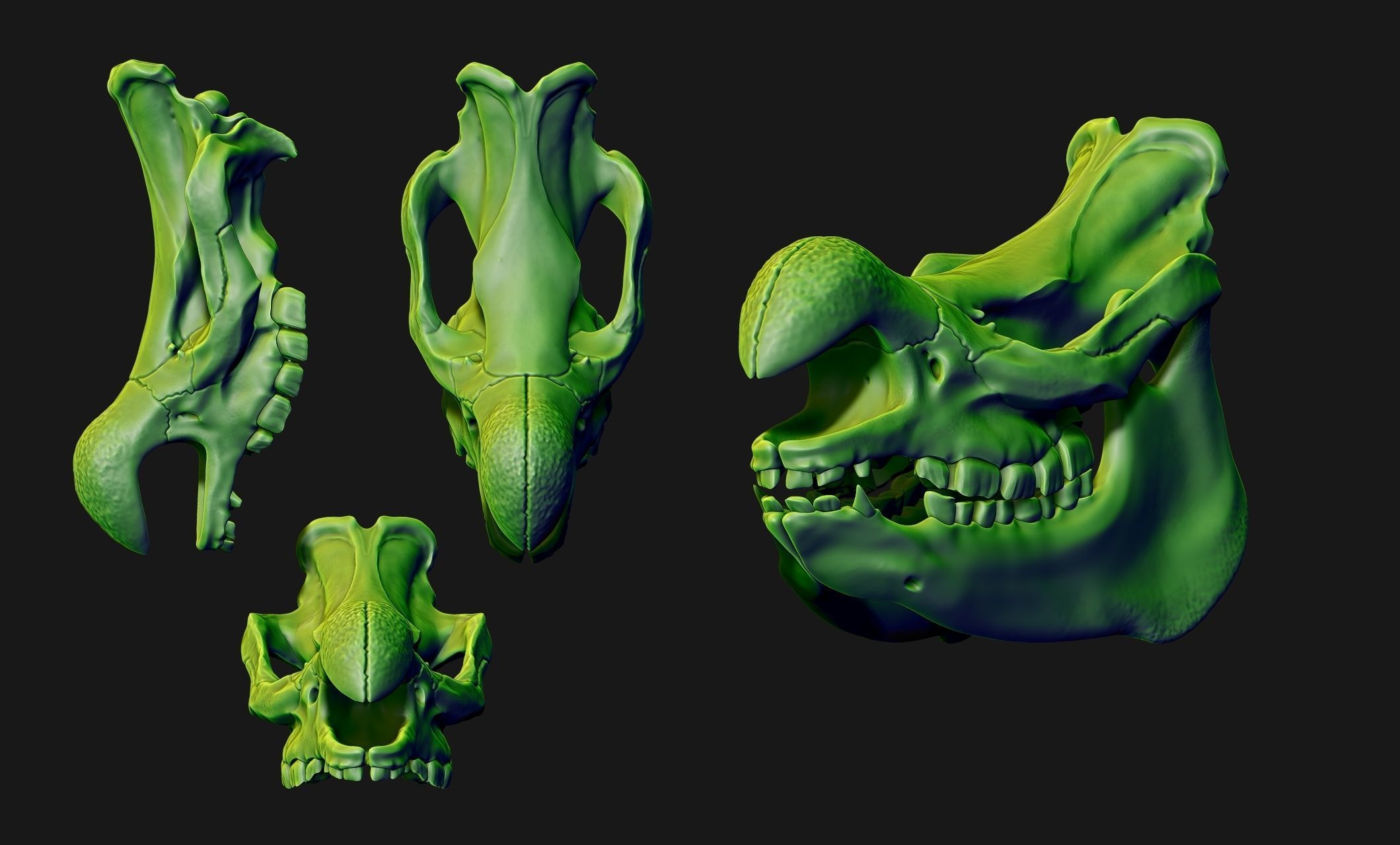 White Rhinoceros Skull - CNC and 3D print model_15