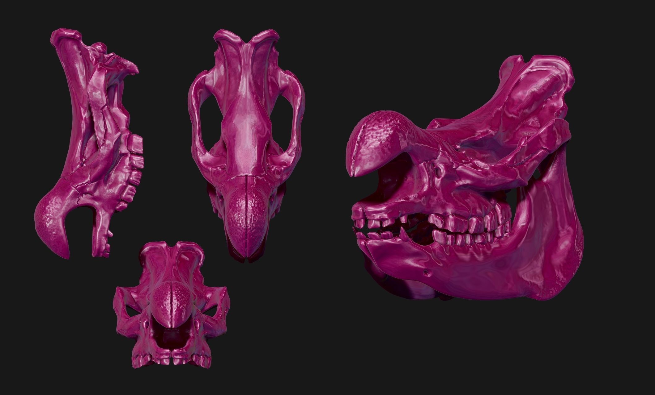 White Rhinoceros Skull - CNC and 3D print model_19