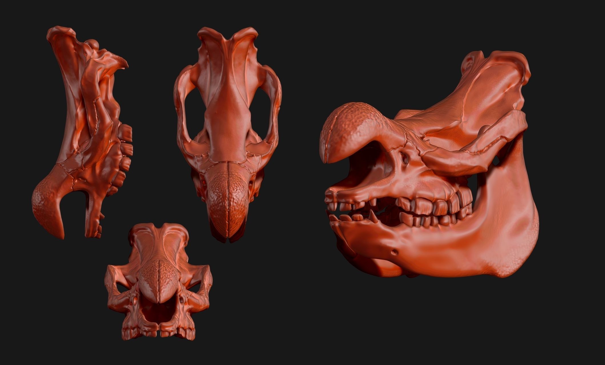 White Rhinoceros Skull - CNC and 3D print model_14