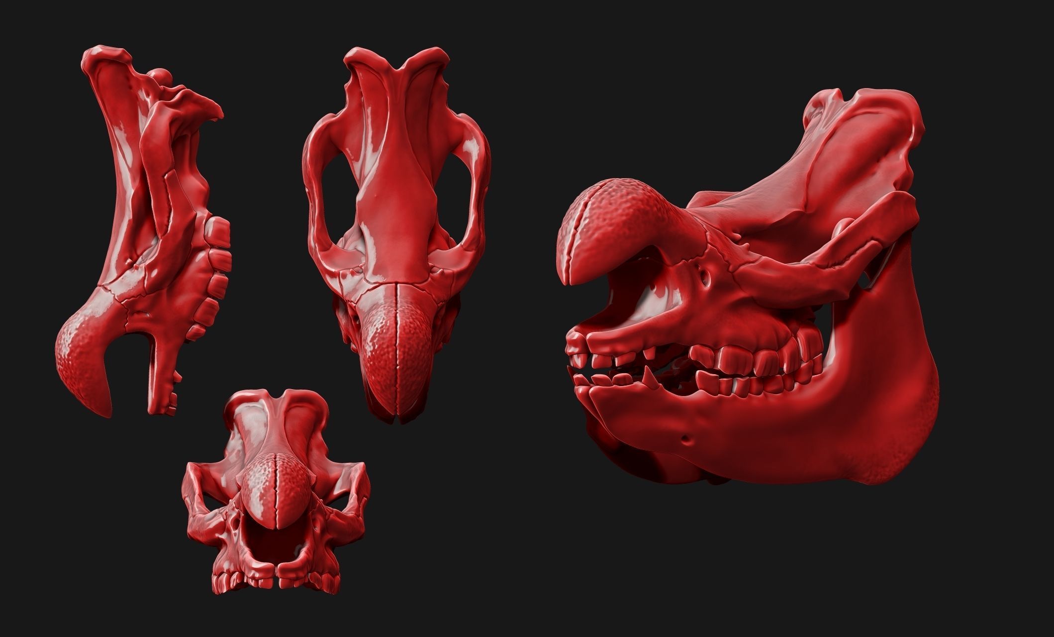White Rhinoceros Skull - CNC and 3D print model_5