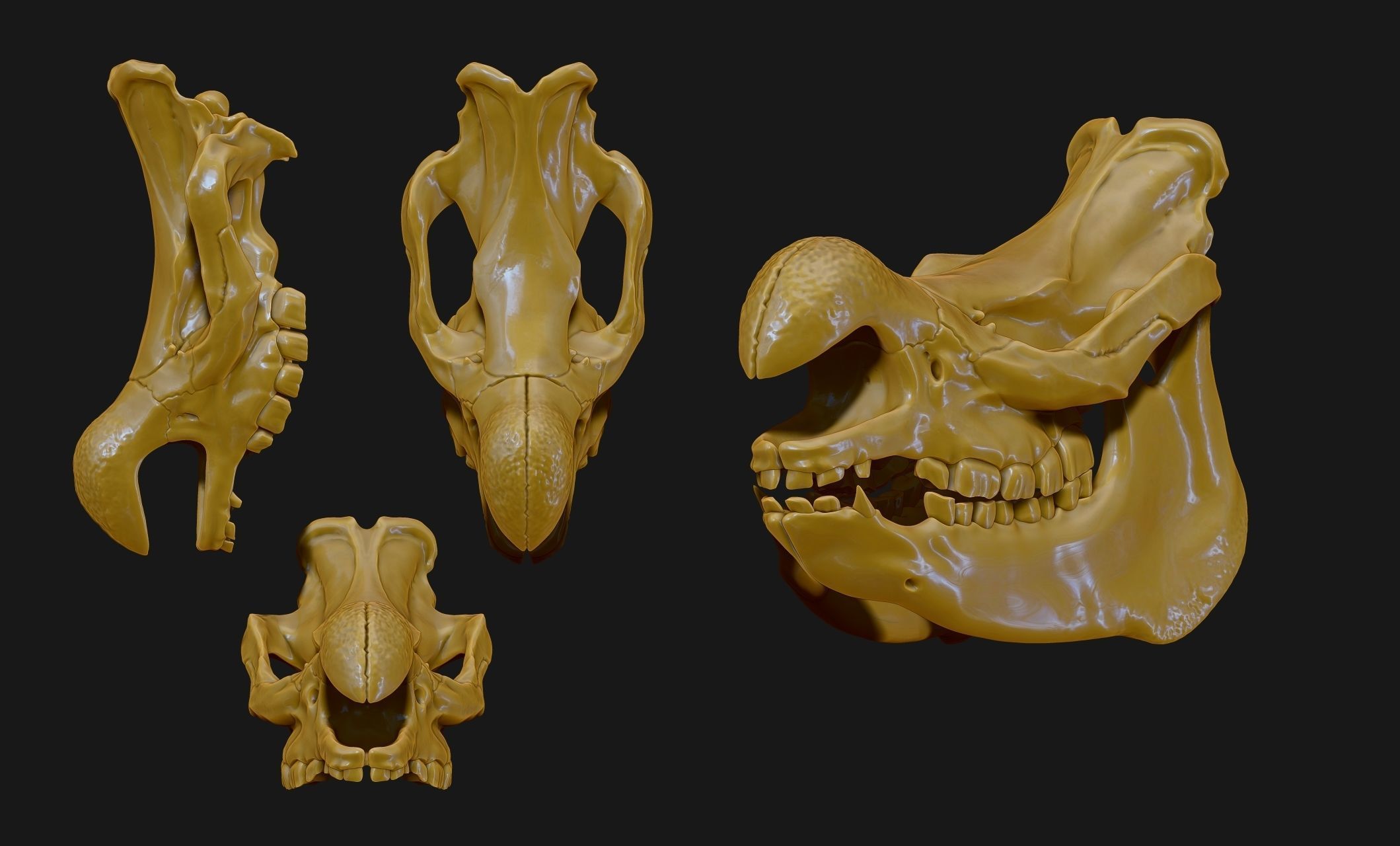 White Rhinoceros Skull - CNC and 3D print model_22