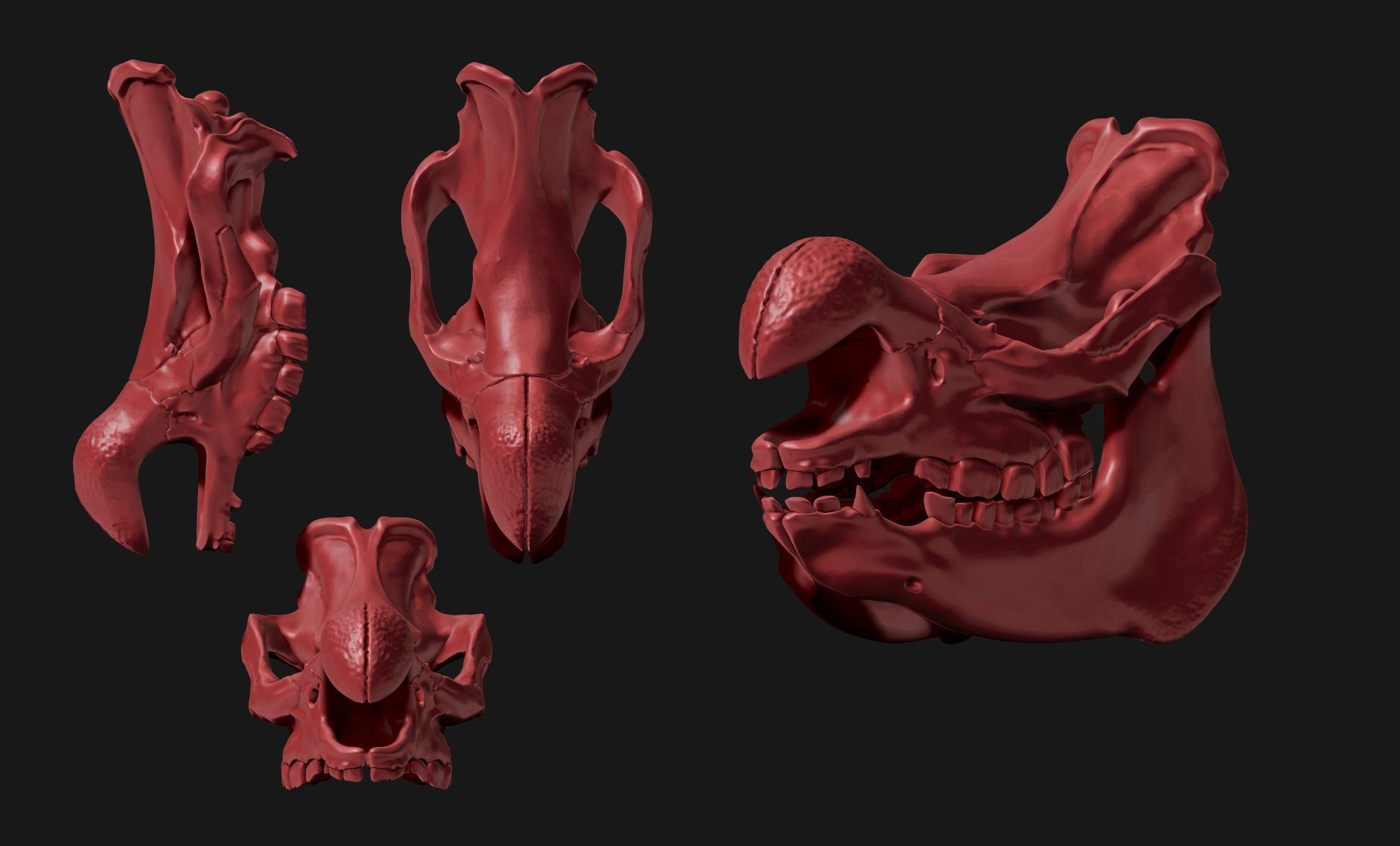 White Rhinoceros Skull - CNC and 3D print model_12