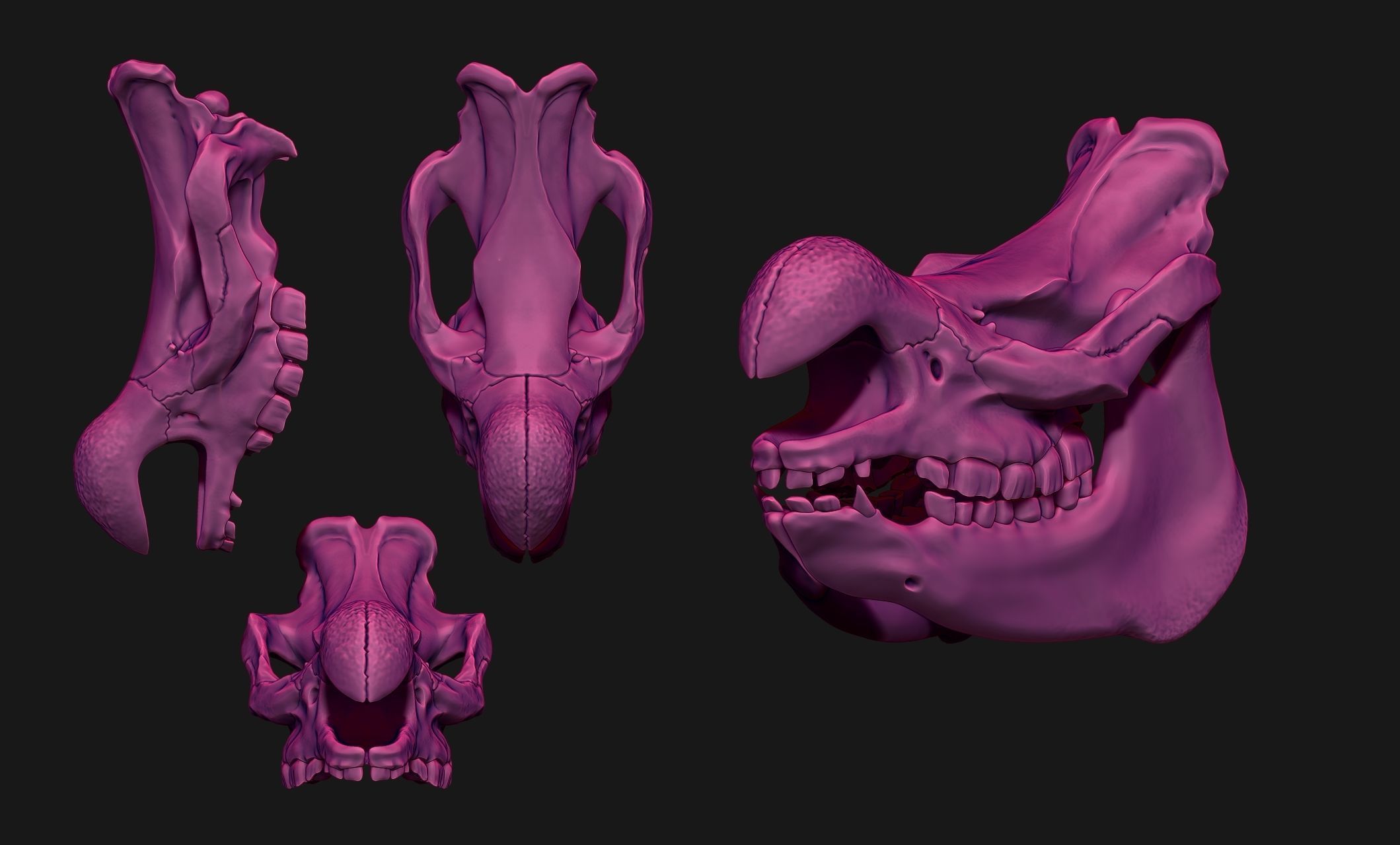 White Rhinoceros Skull - CNC and 3D print model_16