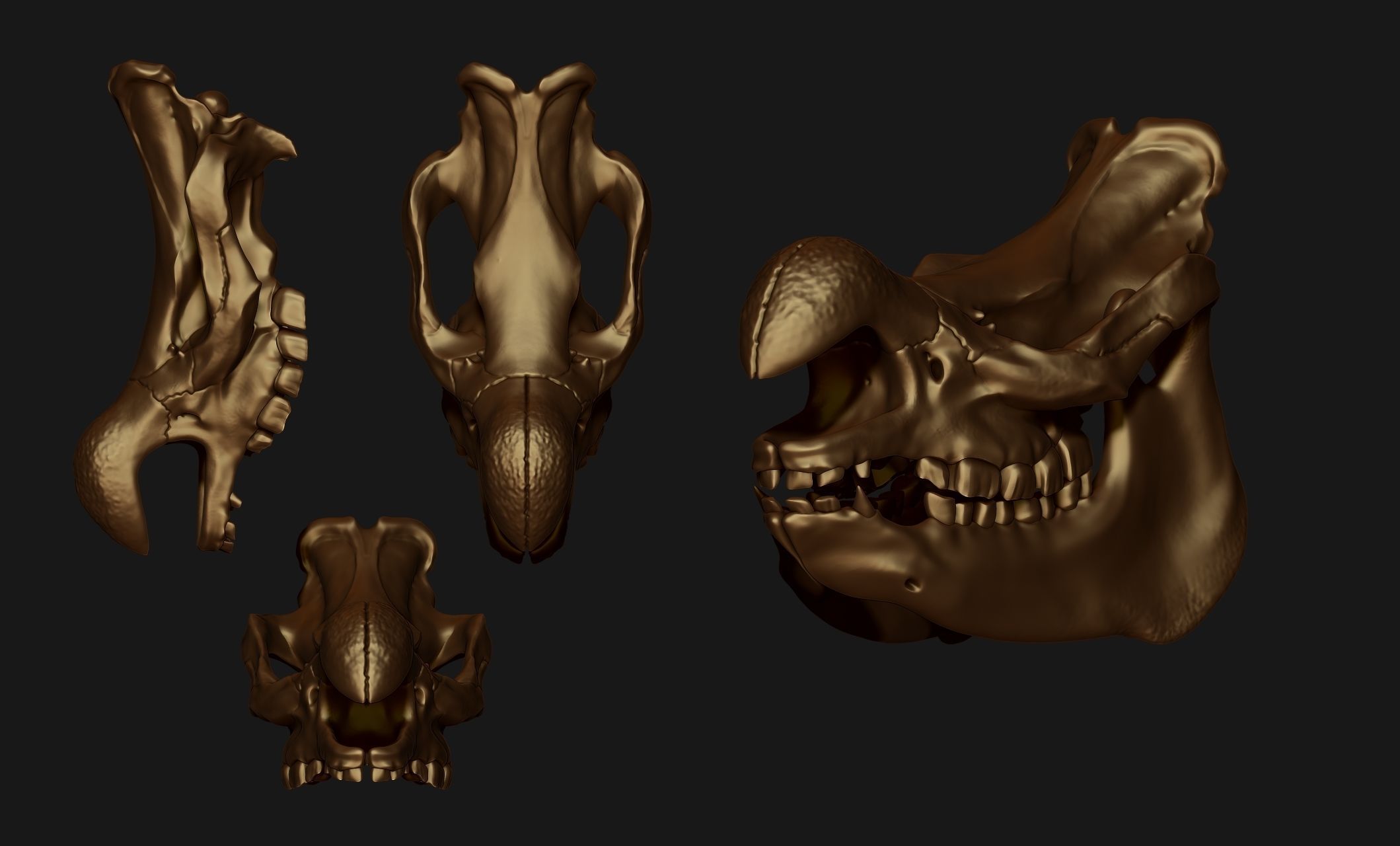 White Rhinoceros Skull - CNC and 3D print model_13